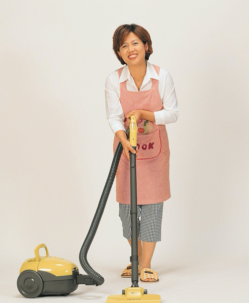 cleaning services for homeowners in Arlington